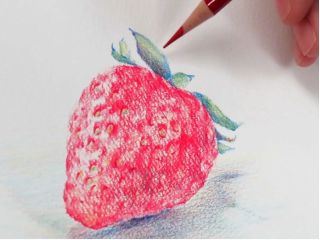 マンツーマンレッスンなので初めての方もオススメ アート体験 色鉛筆で描くイチゴ ビギナーアートスクール渋谷 じゃらん遊び体験 マンツーマンレッスンなので初めての方もオススメ アート体験 色鉛筆で描くイチゴ ビギナーアートスクール渋谷 じゃらん遊び体験