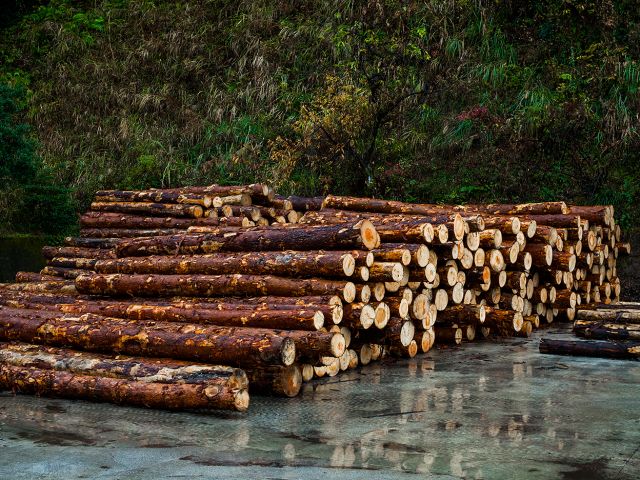 自然に溢れた工場内を歩きながら見学