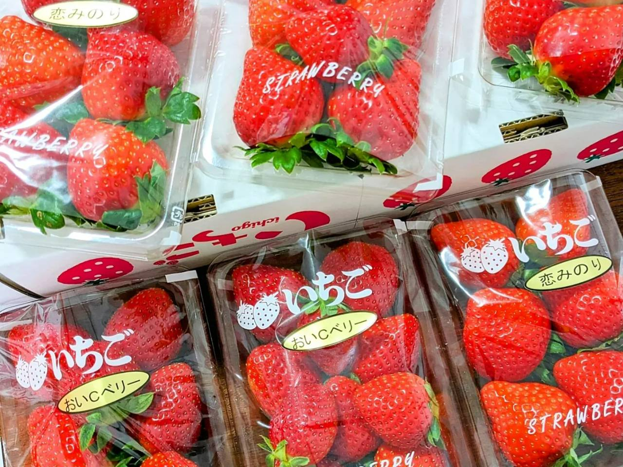 2月中旬頃～開始予定【最大3～5品種30分食べ放題】多品種食べ比べ！少