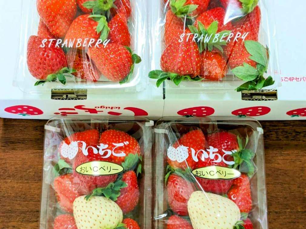 2月中旬頃～開始予定【最大3～5品種30分食べ放題】多品種食べ比べ！少