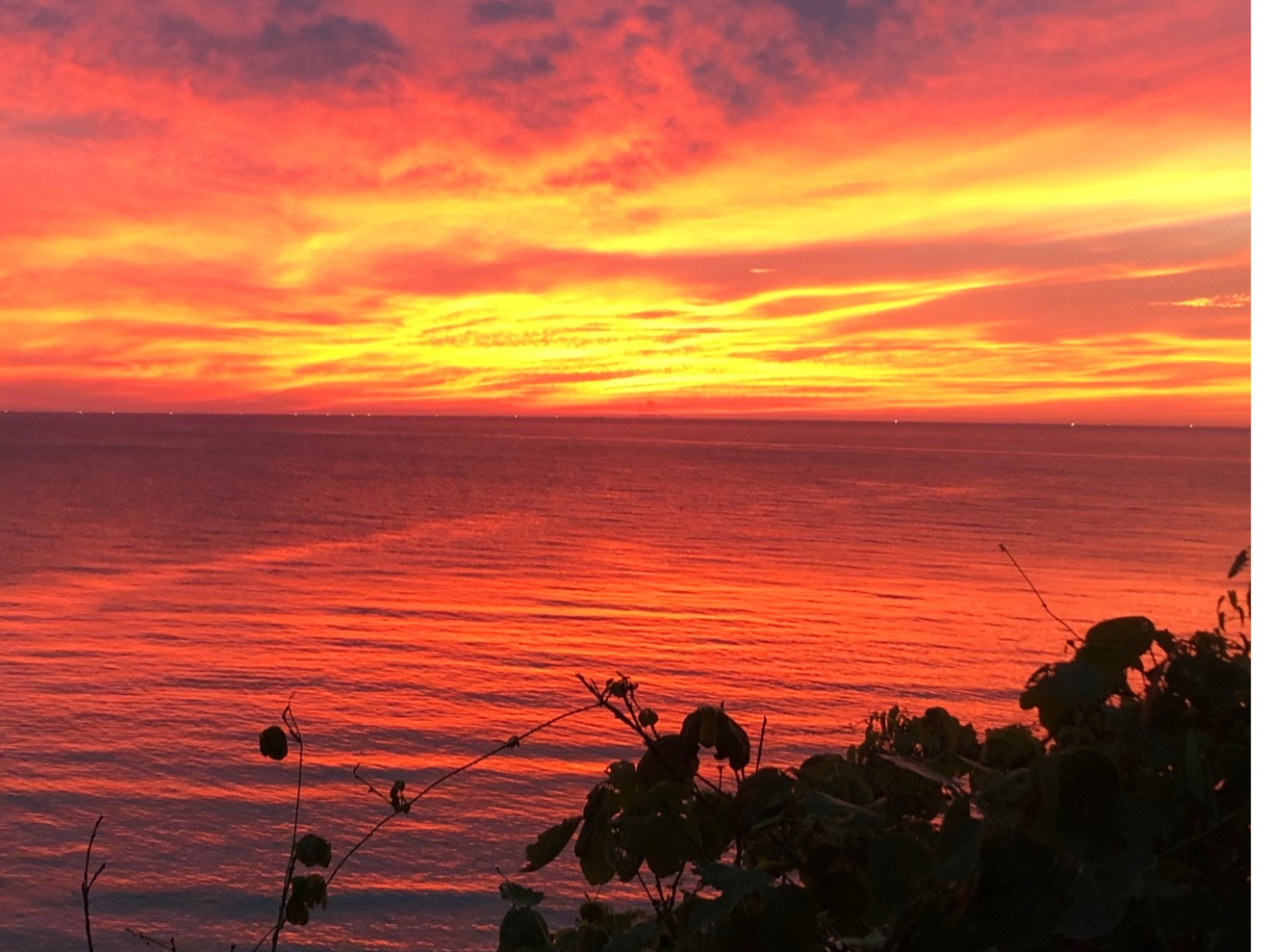 �^���Ԃɐ��܂�[�z�����Ȃ����SUP�́A�_��I��