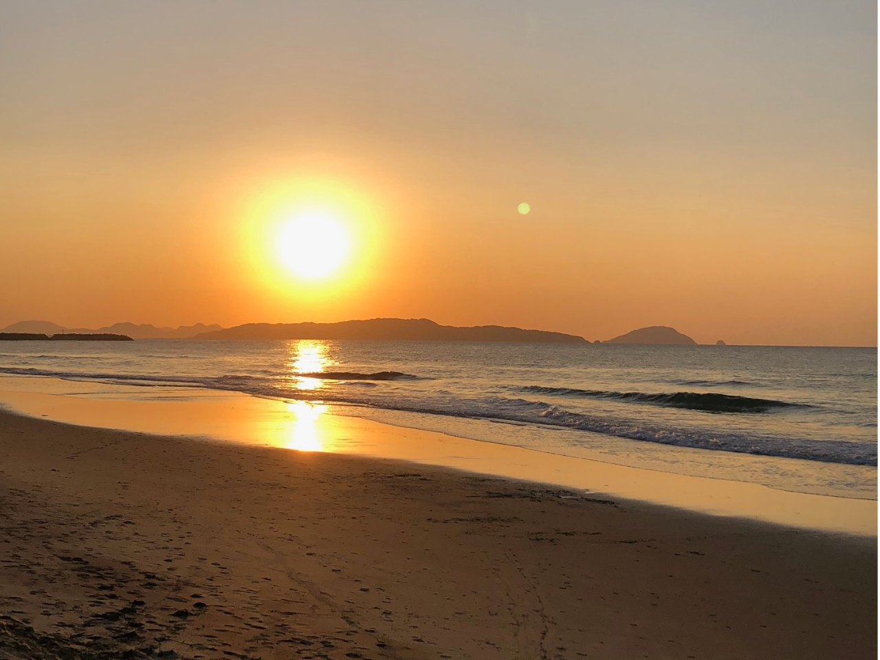 ���X�ɕ��Ă����[�z��D��ɖ]�ރT���Z�b�gSUP�N���[�W���O�B