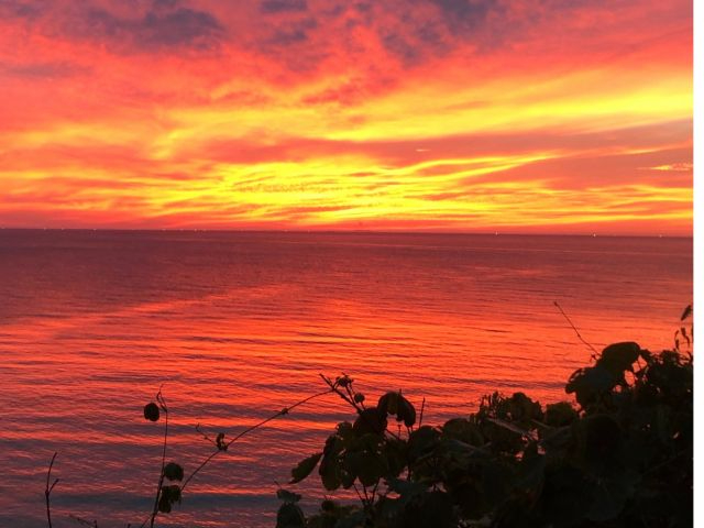 ���F�B�₲�Ƒ��Ƃ��Ђ��y���݂���������