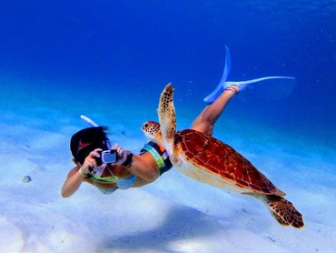 žɏƂ炳āA ƉjE~ḰAۂނقǔB