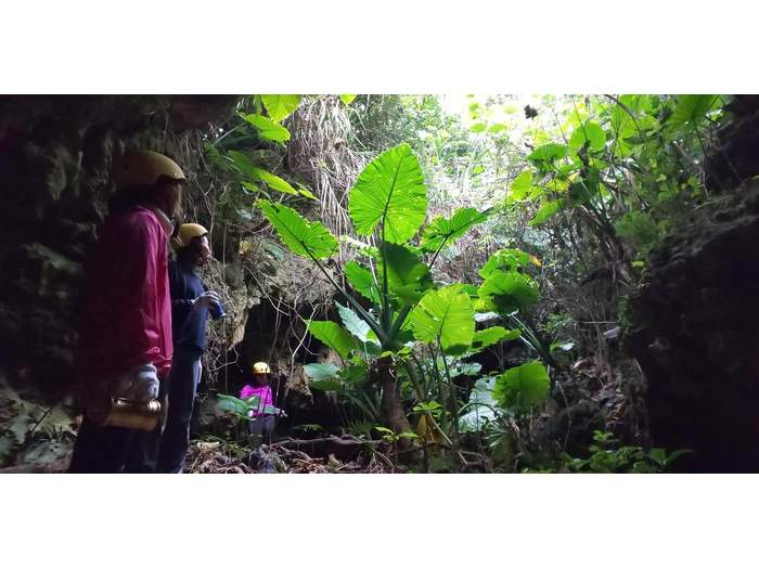 Aꂷ̂́AlłꕔmȂꏊB