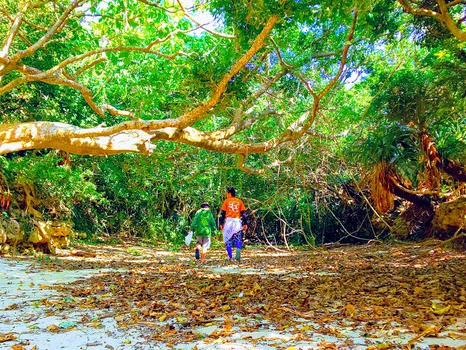 厩R̒œSɊ҂uʂȑ̌vĂ݂܂񂩁H