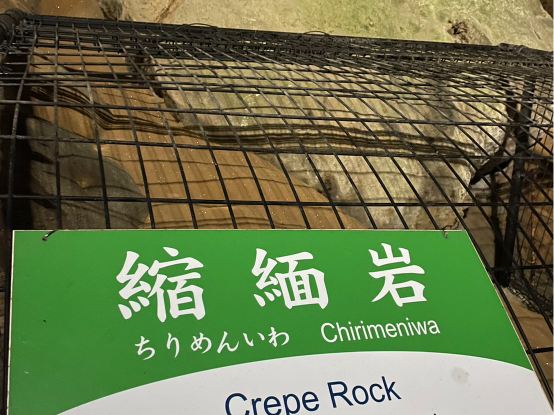 ߕtƊ̕\ʂLLƌĂ̂܂B{ɗĂ