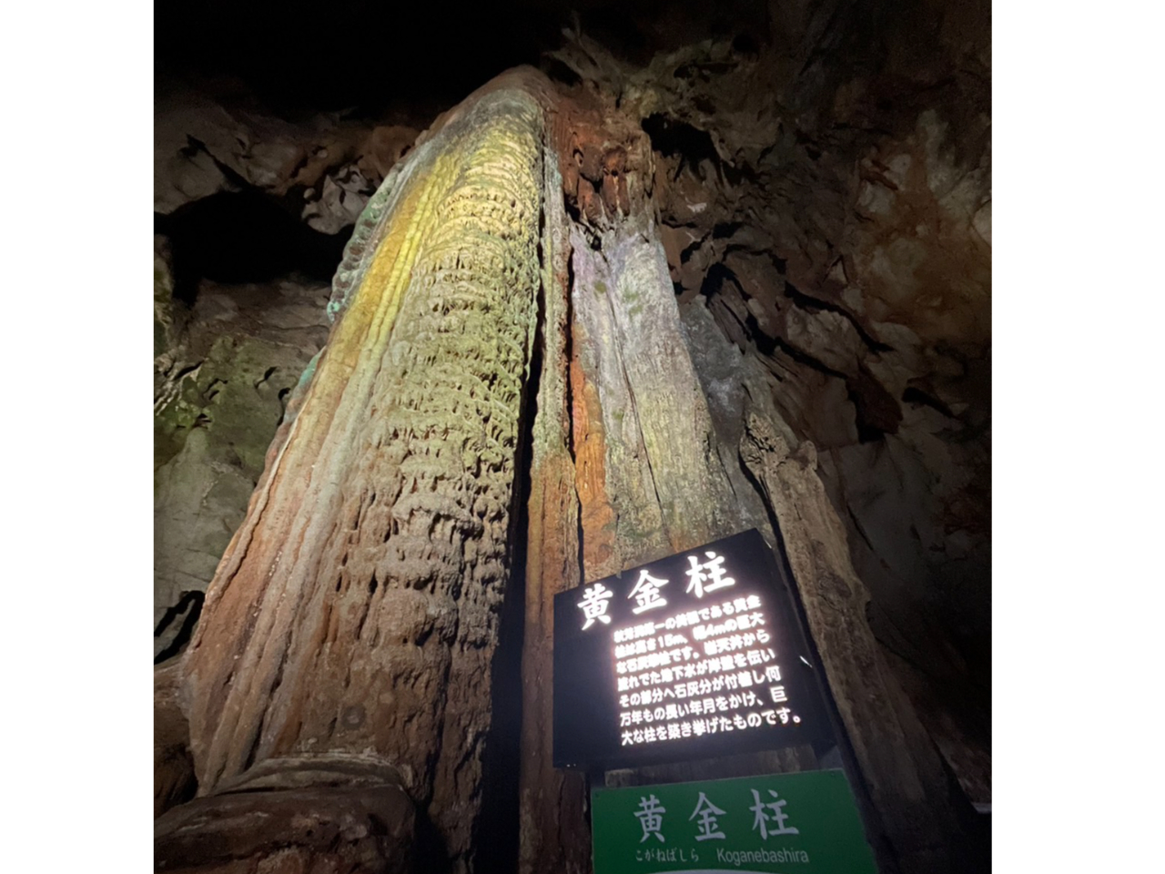 PTAS̋ȐΊDؒB傫Ɉ|܂