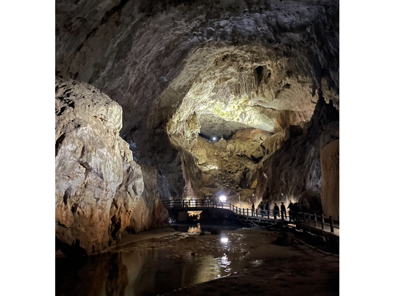 �ߓ����̒���1�N��17���I�Ă͗������A�~�͒g�����̂ŉ��K�ł��B