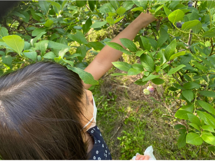 �����Ȃ��q�l�ł����S�̖��_��ł��������u���[�x���[�ł���