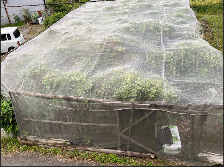 �ׂ����l�b�g�����Ă���A�ł��邾�������쏜���đ΍􂵂Ă���܂��B