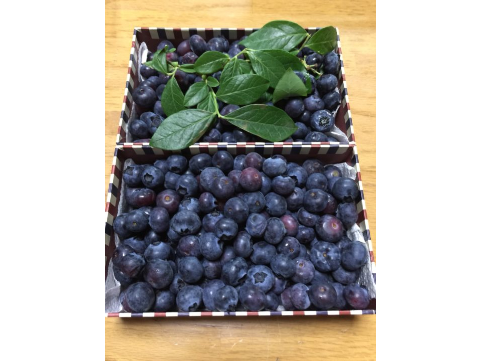 ご希望でしたら発送も賜ります、リクエストください ませ ^_^