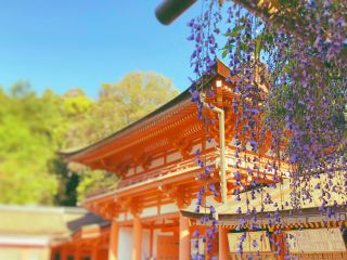 都市伝説コース ミステリーツアー体験 奈良の不思議世界をご案内 心家 じゃらん遊び体験