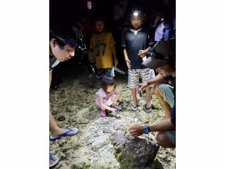 岩の下に何かいたかな?