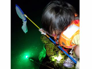 ゾクゾク集まってきた!!