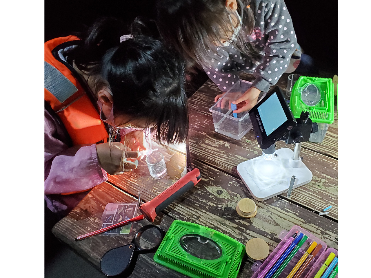 何がいるかな??