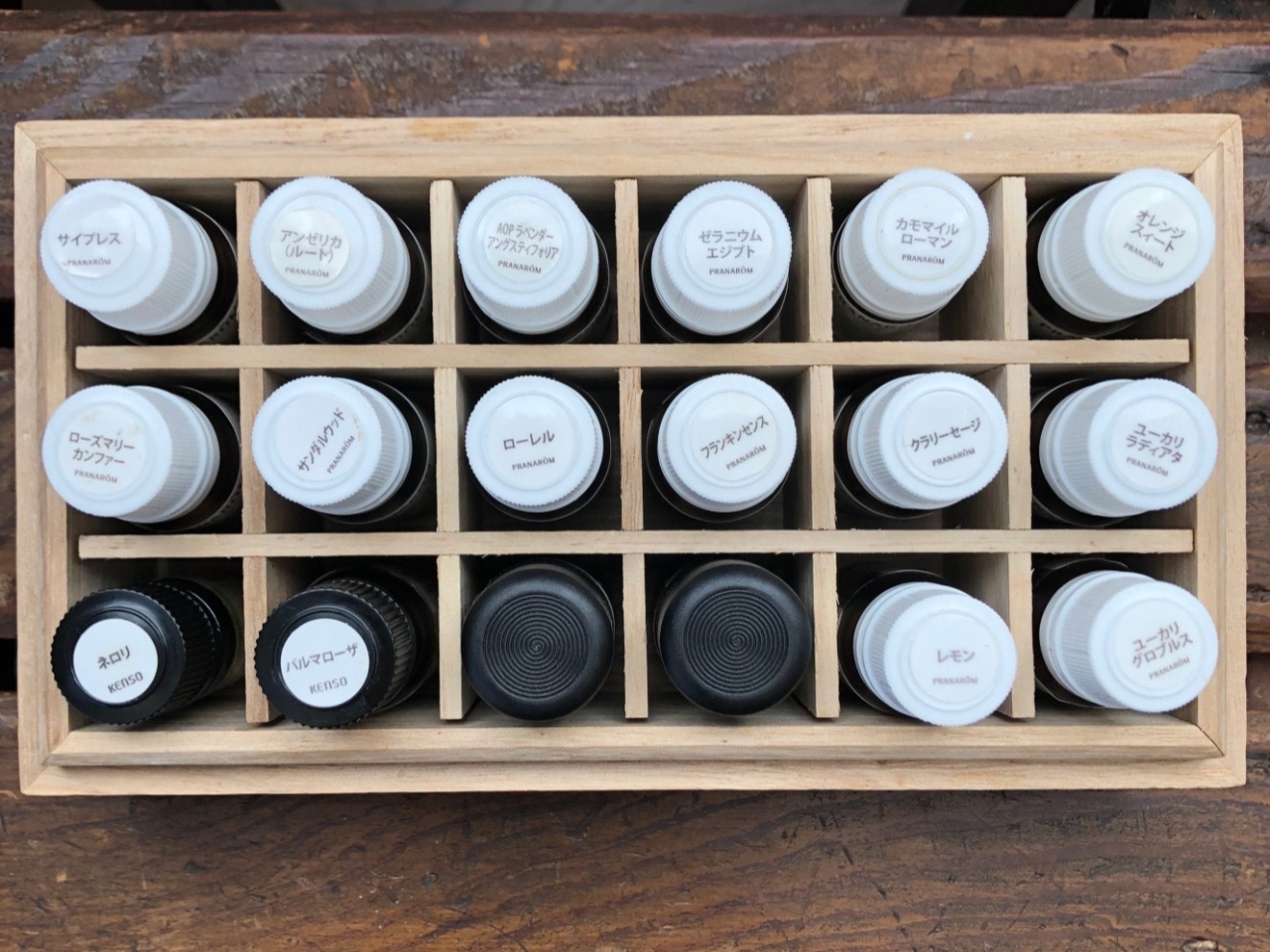 lXȍiI[KjbÑA}jpӂĂ܂