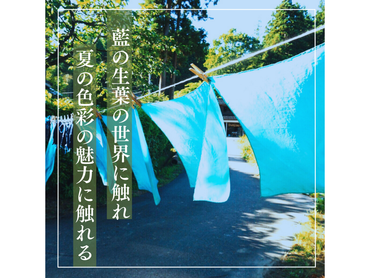 夏限定!摘みたての藍で染める、爽やか生葉染め体験【古民家×自然体験】