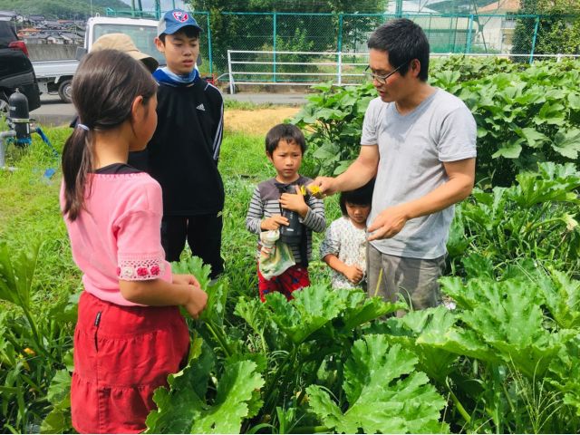 夏野菜収穫体験の様子です。