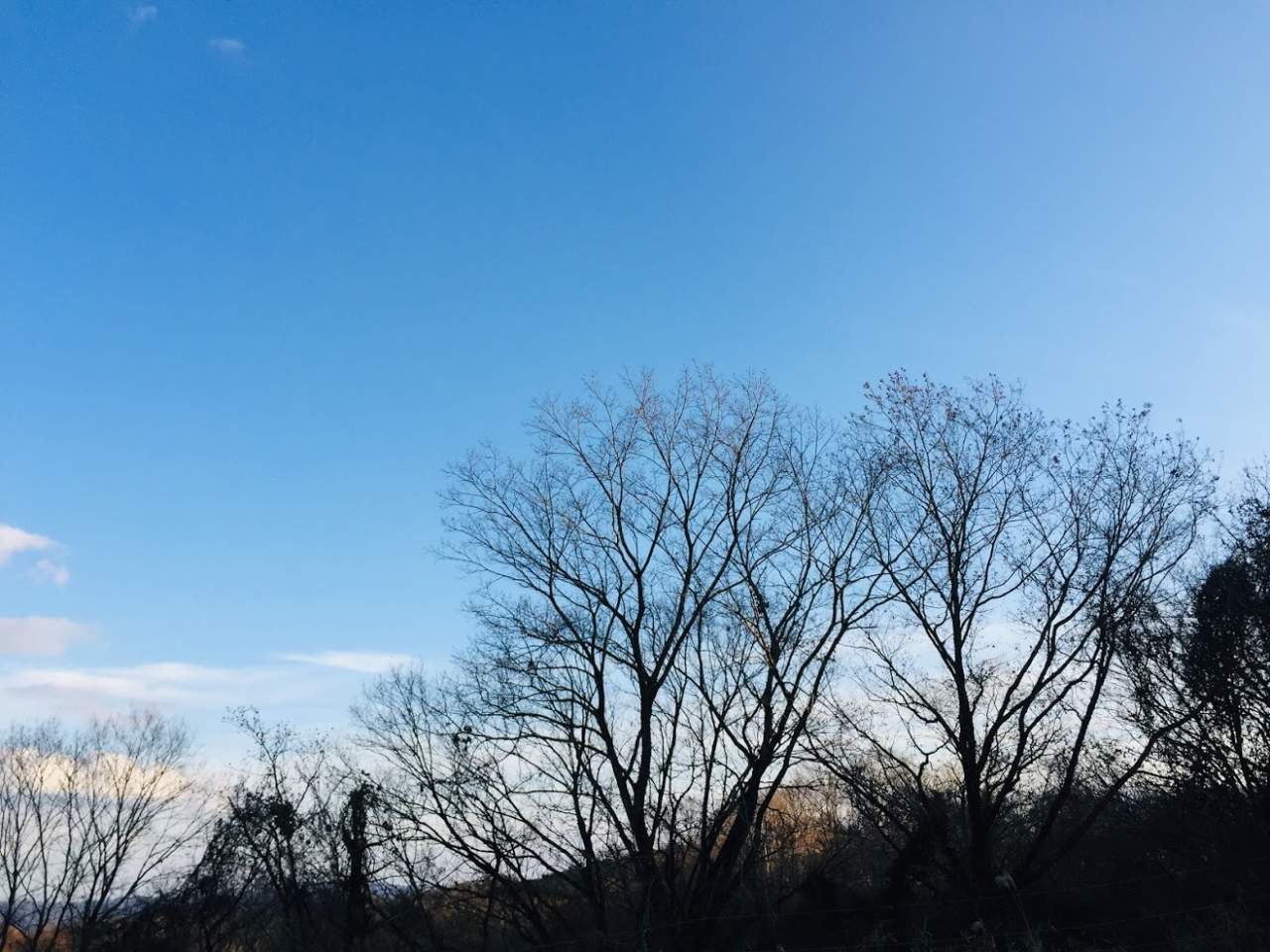 山並みの中の里山の中の農場には四季の巡りを感じる瞬間がたくさんあります。 春は桜やツツジ、新緑が魅力です。