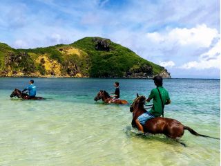 与那国島 ヨナグニウマ ミニトレッキングと海馬遊び 噂のマリンアクテビティー ちまんま広場 じゃらん遊び体験