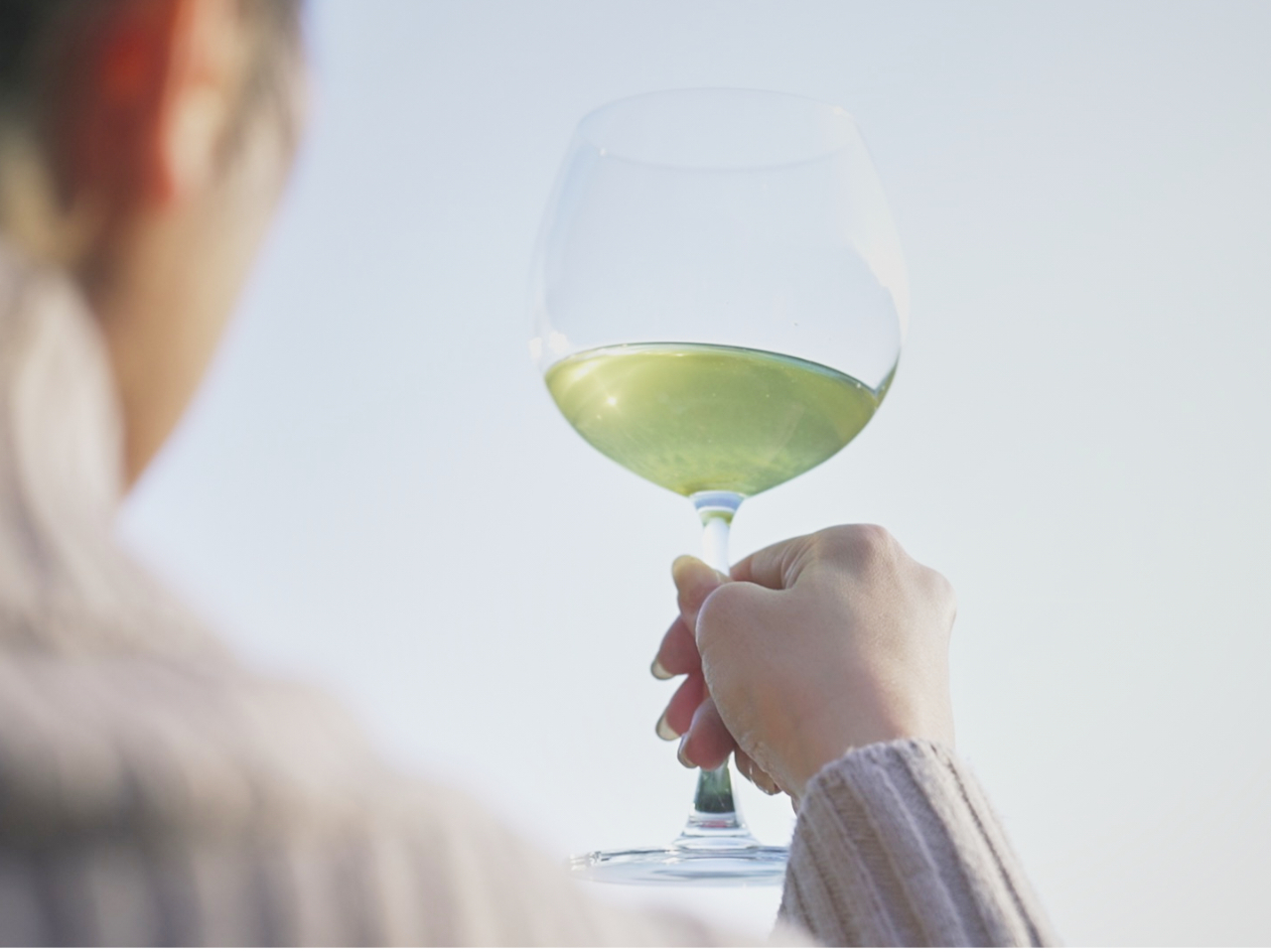 iɂĂǂȓ̂ACc␻̂̈ݔׂ̌ ܂B