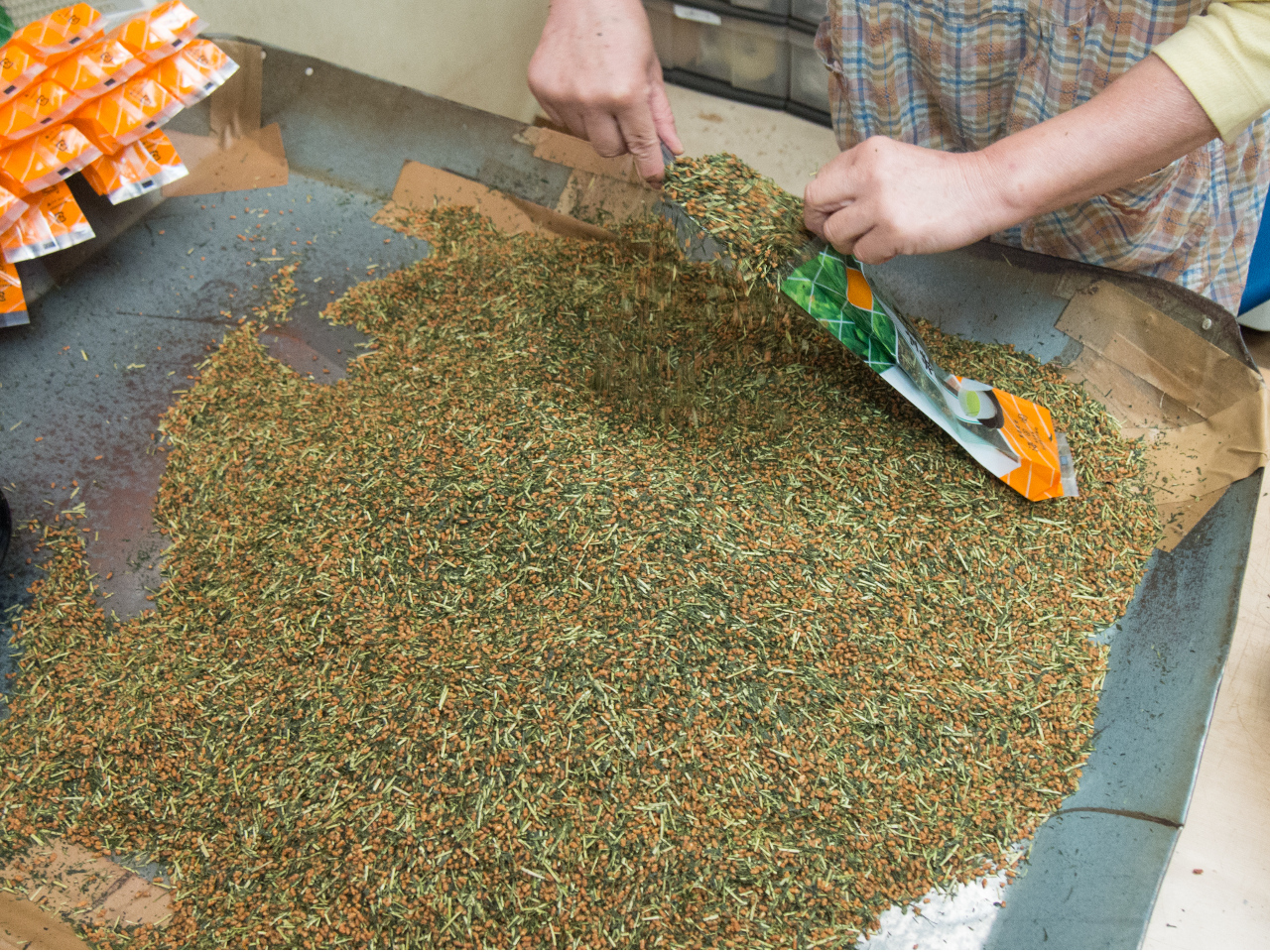 ߂ꂽzʂŒtzAsiƂďoׂ܂B