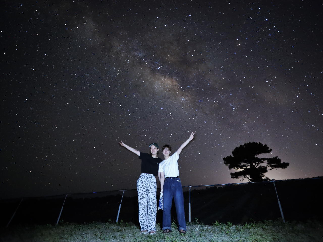 obNɋLOBeT[rXIΊ_̐Ƃ1𗷂̎voɂł傤H