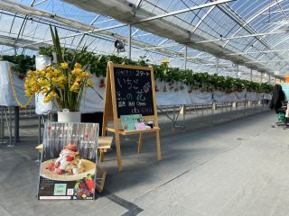 2021年OPEN!「いちごの花」皆様のお越しをお待ちしております!