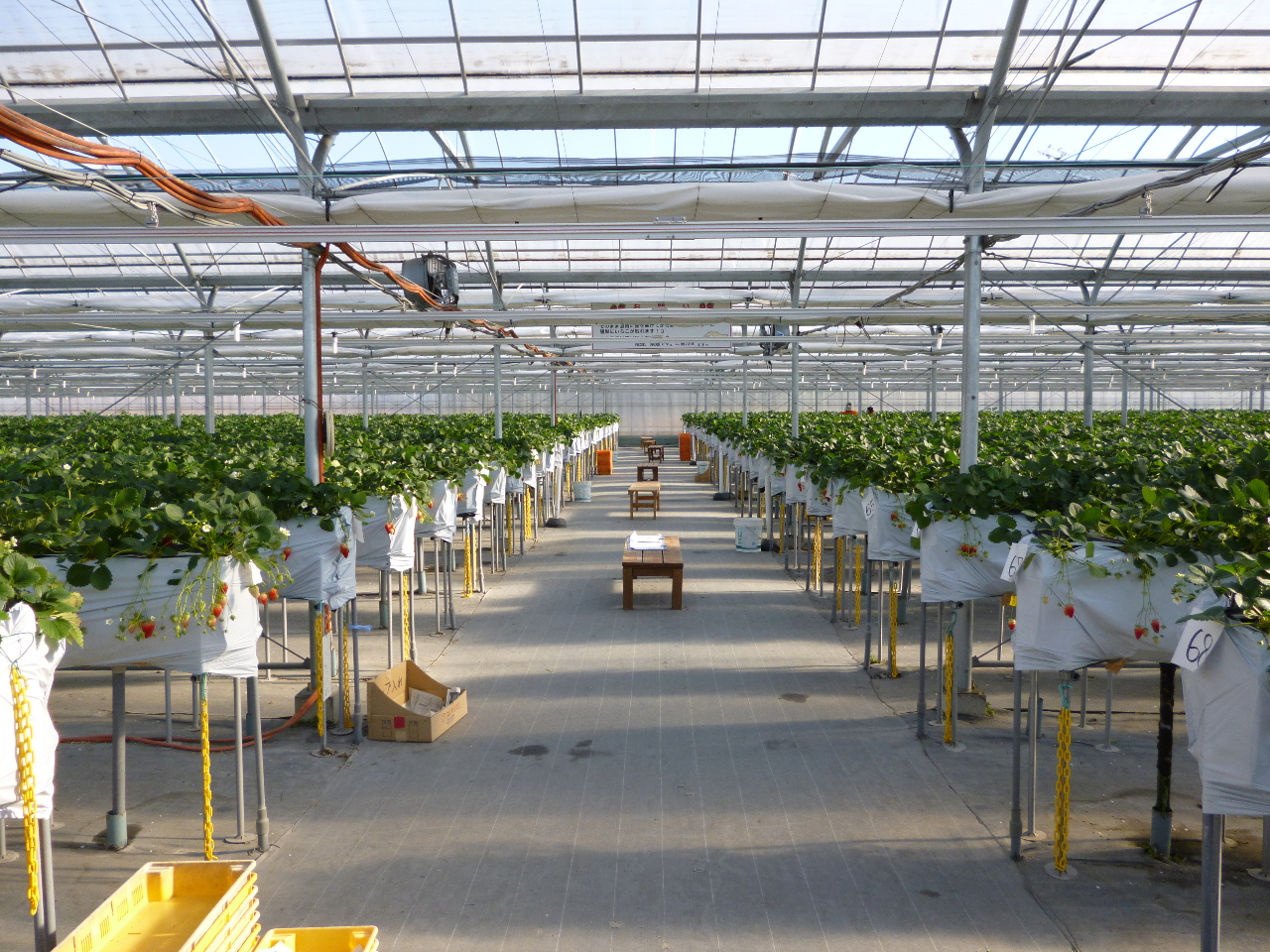 ԃCXxr[J[Œʂ₷tbgȒʘHql̐gɍ킹v^[Ȃ̂ŁAȂq܂ꏏɂy݂܂