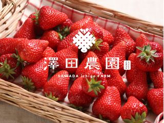 澤田農園の「あきひめ」は酸味が少なく甘みたっぷり♪小さなお子さまでも食べやすい品種です