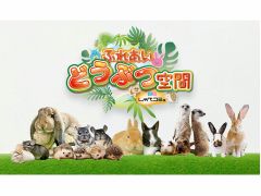 宮城の動物カフェランキングtop10 じゃらんnet 宮城の動物カフェランキングtop10 じゃらんnet
