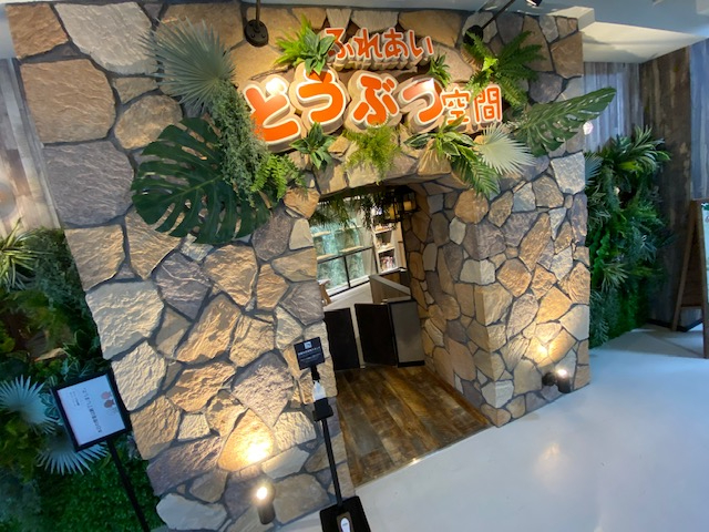 ふれあいどうぶつ空間 でコロナ対策も安心 ゆった り2時間珍しい動物たちに癒されませんか 仙台駅から徒歩2分 ふれあい動物空間 しゃべコミュ イービンズ店 じゃらん遊び体験