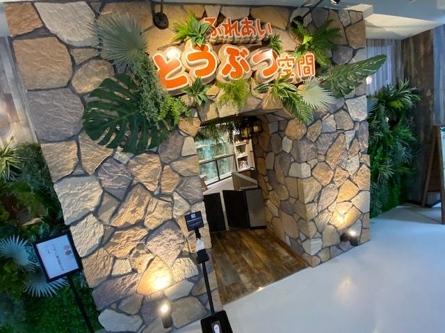 ふれあいどうぶつ空間 でコロナ対策も安心 ゆった り2時間珍しい動物たちに癒されませんか 仙台駅から徒歩2分 ふれあい動物空間 しゃべコミュ イービンズ店 じゃらん遊び体験 ふれあいどうぶつ空間 でコロナ対策も安心 ゆった り2時間珍しい動物たちに癒されませんか 仙台駅から徒歩2分 ふれあい動物空間 しゃべコミュ イービンズ店 じゃらん遊び体験