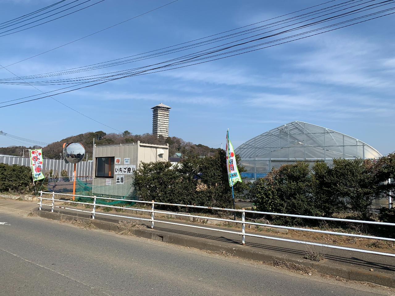 【横浜・さつまいも掘り】秋の味覚を収穫♪家族で楽しめる芋掘り体験！★ 駐車場有