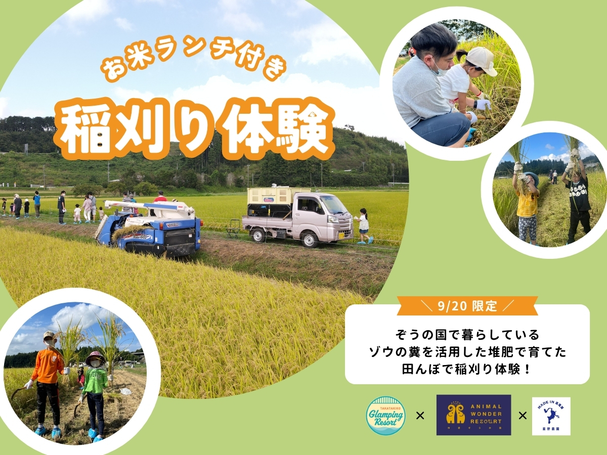ランチ付き稲刈り体験プラン（ご宿泊者様＆ぞうの国会員様専用）