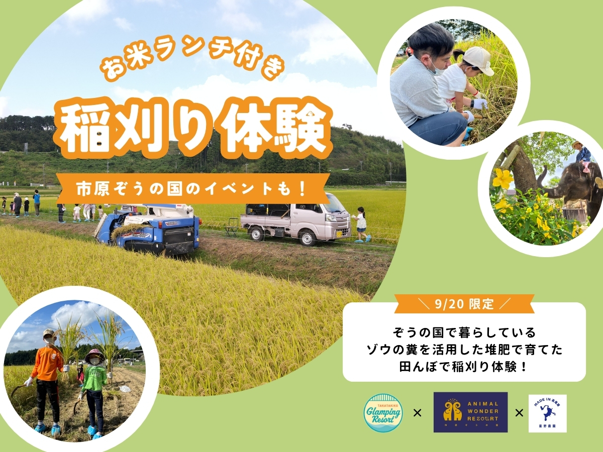 ぞうさんにおにぎりをあげようプラン（ランチ・ぞうの国入園チケット）
