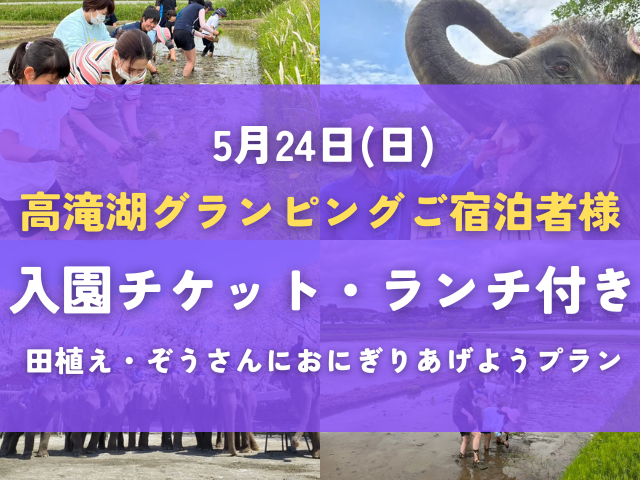 【ご宿泊者様専用】田植え体験・ぞうさんにおにぎりをあげようプラン(ランチ+ぞうの...