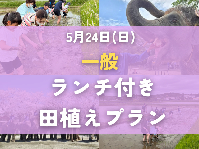 【一般のお客様専用】ランチ付き田植えプラン
