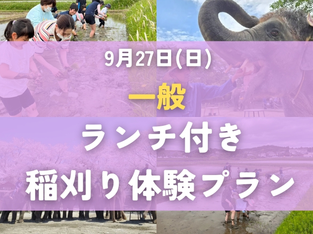 【一般のお客様専用】ランチ付き稲刈り体験プラン