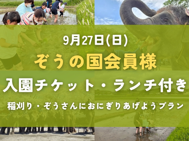 【ぞうの国会員様専用】稲刈り体験+ぞうさんにおにぎりをあげようプラン(ランチ付き...