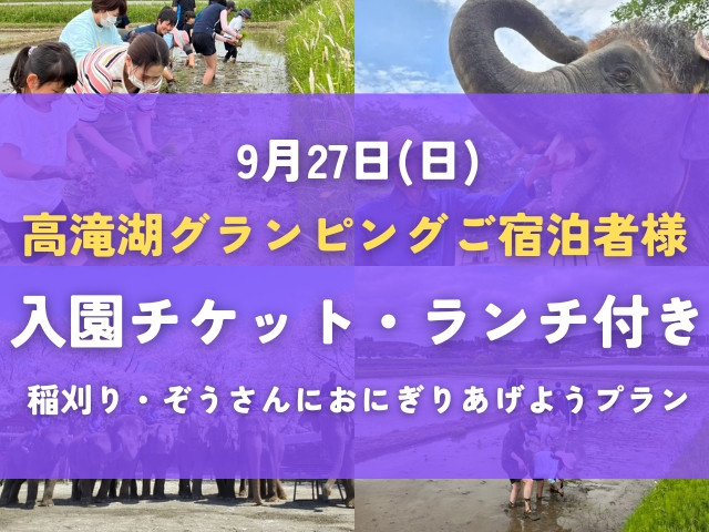 【ご宿泊者専用】稲刈り体験+ぞうさんにおにぎりをあげようプラン(ランチ付き+ぞう...