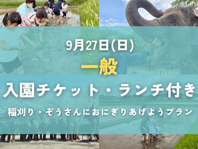 【一般のお客様専用】稲刈り体験+ぞうさんにおにぎりをあげようプラン(ランチ付き+...