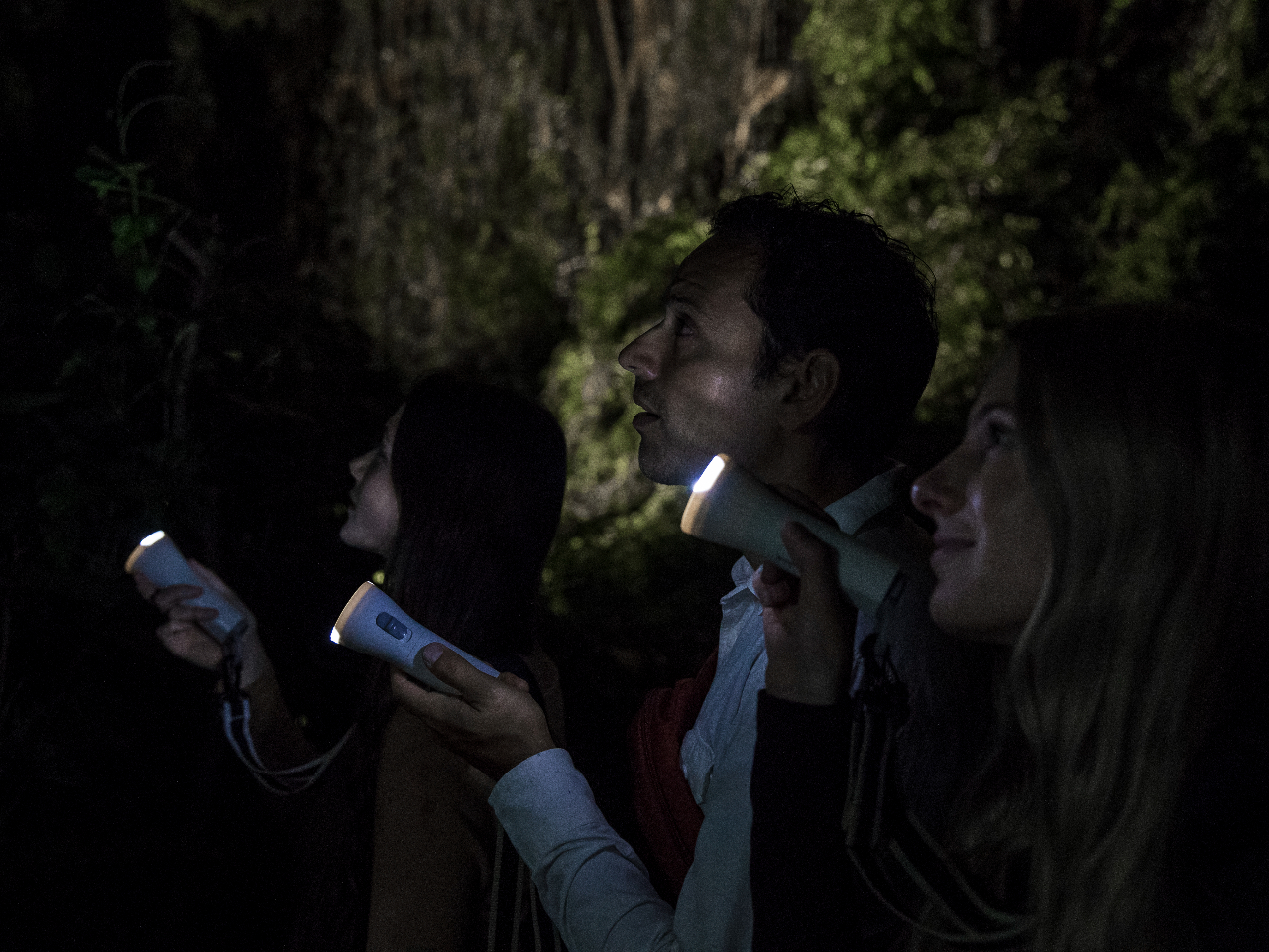 ̃WO͉N̂AnnhLhLEEEI