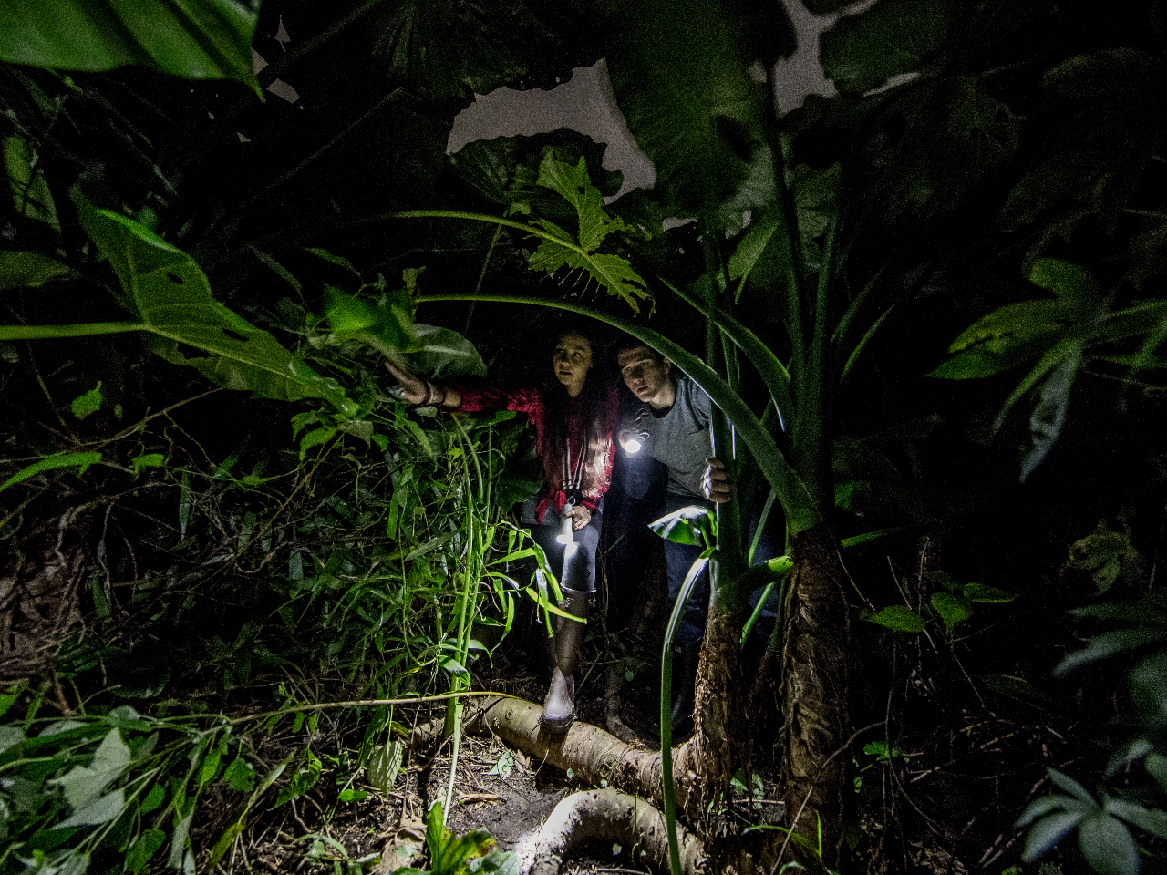 {̃WOŖ쐶̊oڊo߂邩EEEI