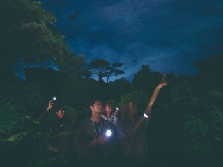 何が起こるか分からないハラハラドキドキの夜!