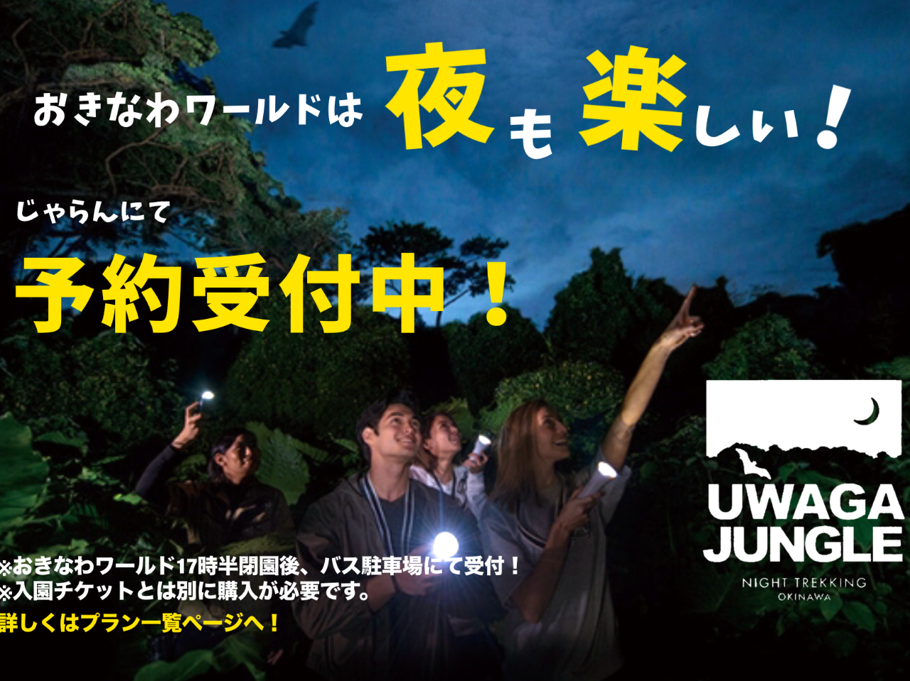 [E[K[WOiCggbLO] Èł̃K`WOiށI\OK􏬊wQł􃌃^EFAV[Ytł