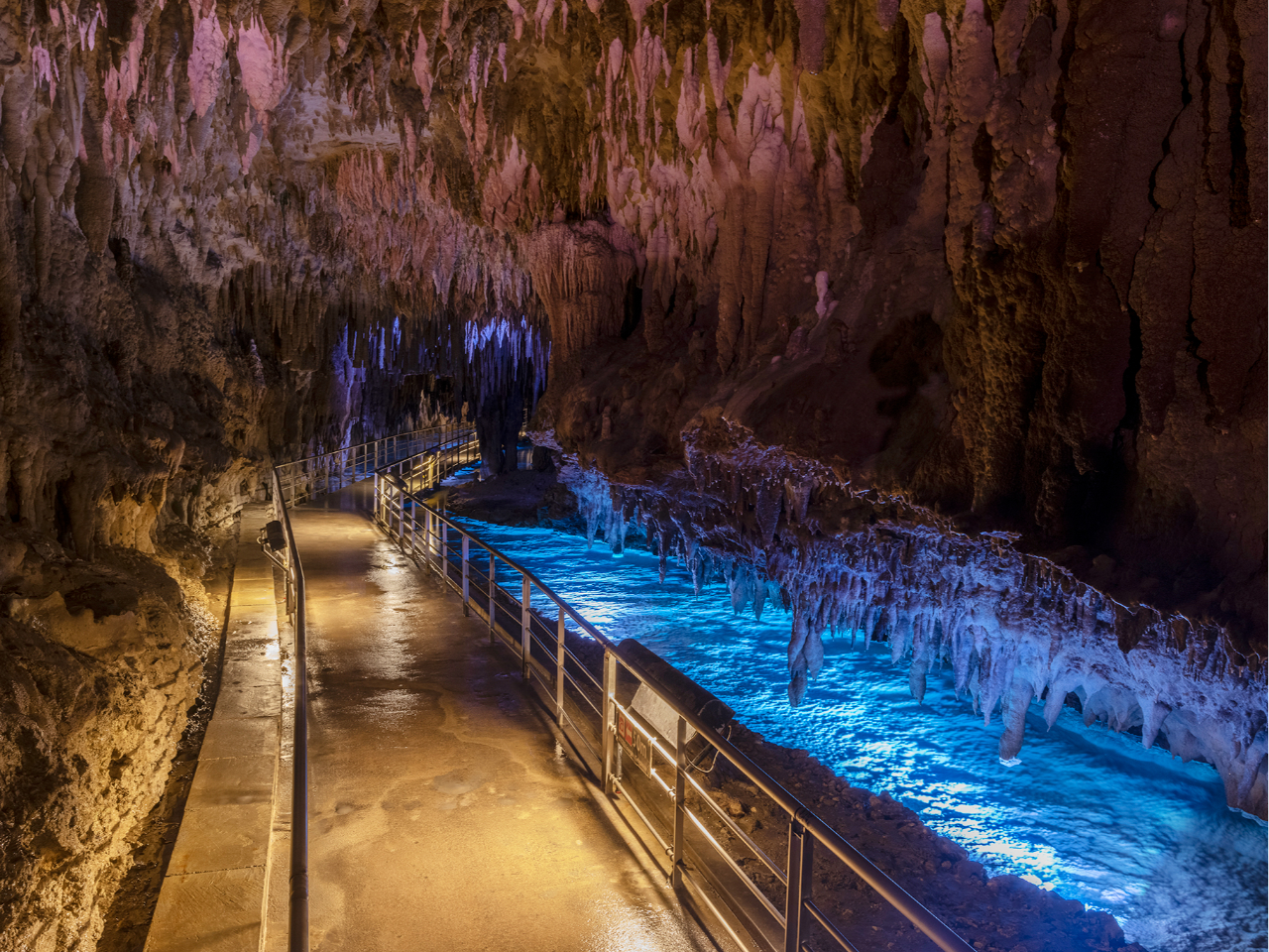 [ʐ] 30N̔Nđnꂽʐ򓴂͑S5,000Aߓ100{ȏiAő勉̋K͂ւ܂BiʌJ890j