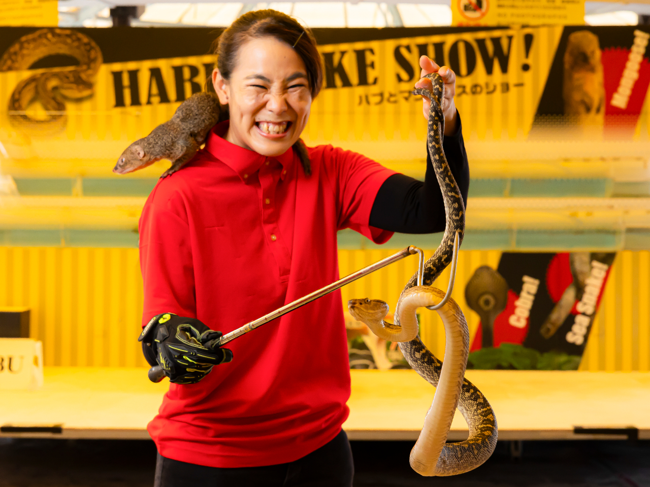 [nuƃ}O[X̃V[] nuA}O[XARuȂǂoInu̓vslԂ̓ŐAǂ͂ЃV[łI