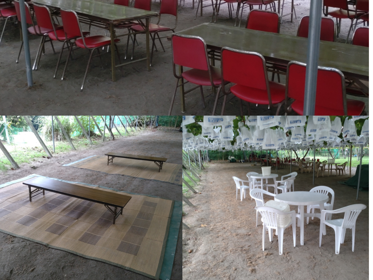 ���\��җl�ɂ͂����ȁi�e�[�u���t���j�܂��̓e�[�u���Ȃ����ē��B���W���[�V�[�g���̎����͕s�v�ł��I�I